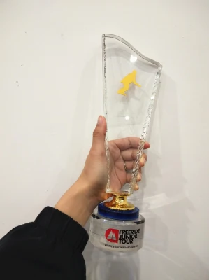 Metal Sports Decoration World Champion Awards Gold Trophy Cup Glass Plastic Blank Miami Spring Winter Tournament Award Trophy (005)